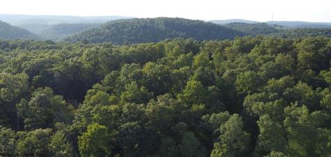 144 Spring Trail Bruceton Mills WV 26525