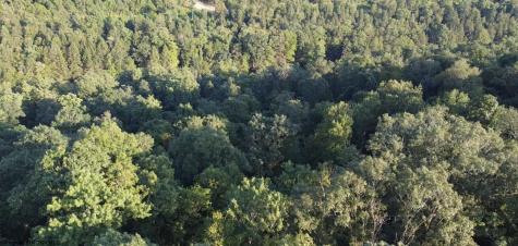 144 Spring Trail Bruceton Mills WV 26525