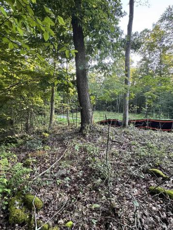 144 Spring Trail Bruceton Mills WV 26525