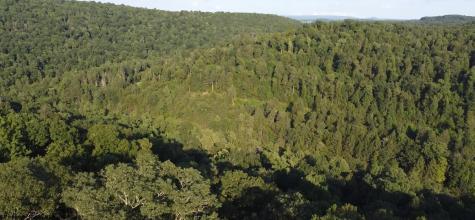 144 Spring Trail Bruceton Mills WV 26525