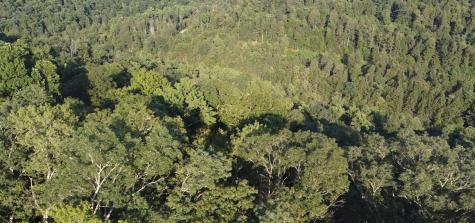 144 Spring Trail Bruceton Mills WV 26525