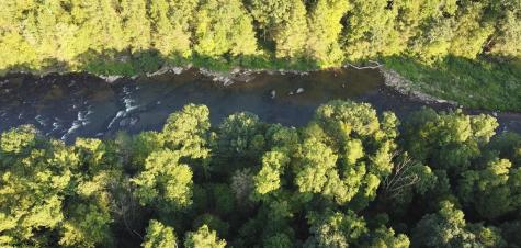 144 Spring Trail Bruceton Mills WV 26525