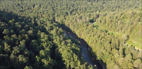 144 Spring Trail Bruceton Mills WV 26525