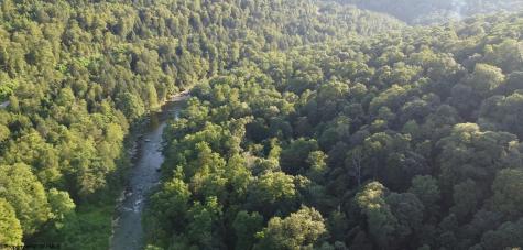 144 Spring Trail Bruceton Mills WV 26525