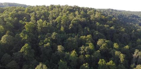 144 Spring Trail Bruceton Mills WV 26525