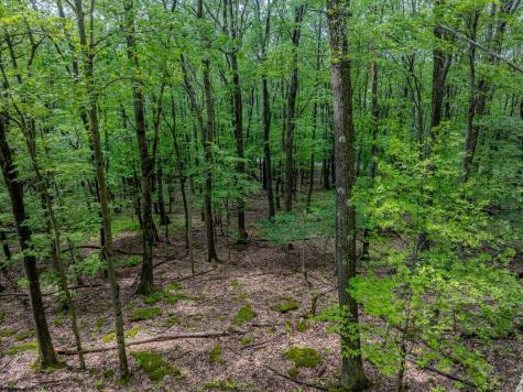 20 Greenbrier Lane Terra Alta WV 26764