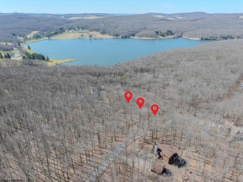 20 Greenbrier Lane Terra Alta WV 26764