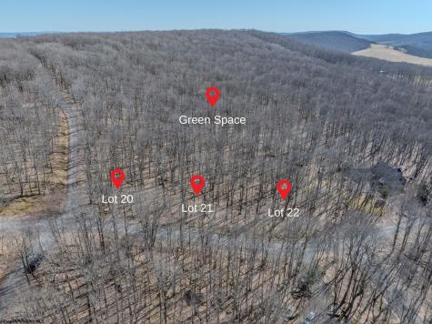 20 Greenbrier Lane Terra Alta WV 26764