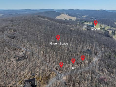 20 Greenbrier Lane Terra Alta WV 26764