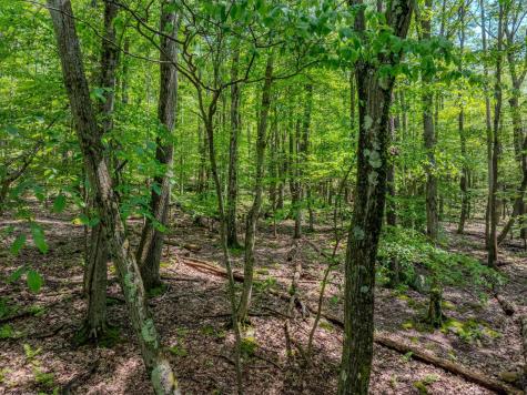20 Greenbrier Lane Terra Alta WV 26764