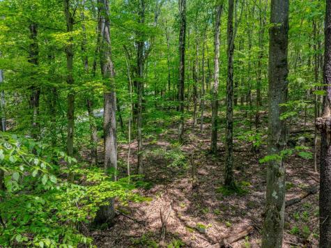 20 Greenbrier Lane Terra Alta WV 26764