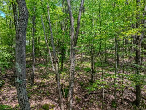 20 Greenbrier Lane Terra Alta WV 26764