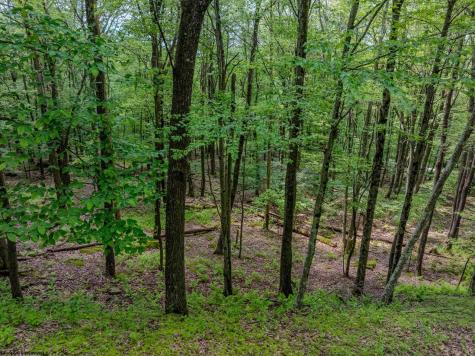 20 Greenbrier Lane Terra Alta WV 26764