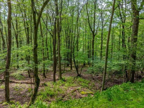 20 Greenbrier Lane Terra Alta WV 26764