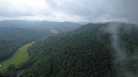 0 Saltlick Road Terra Alta WV 26764