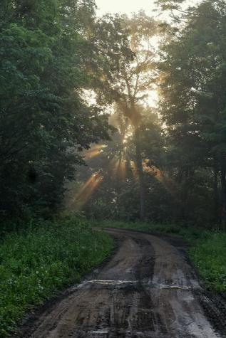 0 Saltlick Road Terra Alta WV 26764