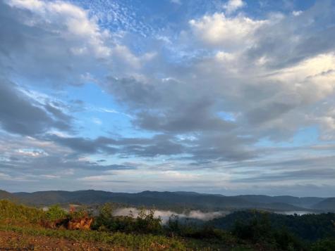 0 Saltlick Road Terra Alta WV 26764