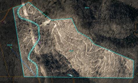0 Saltlick Road Terra Alta WV 26764