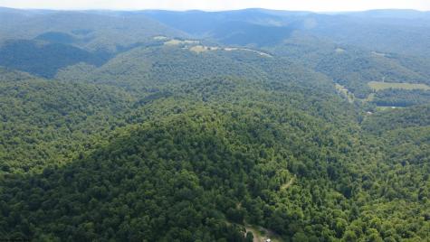 0 Saltlick Road Terra Alta WV 26764