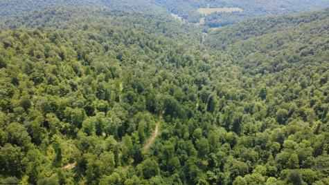 0 Saltlick Road Terra Alta WV 26764