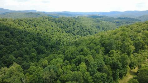 0 Saltlick Road Terra Alta WV 26764
