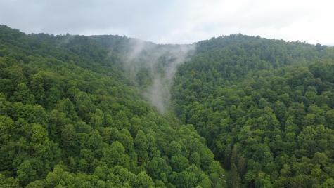 0 Saltlick Road Terra Alta WV 26764