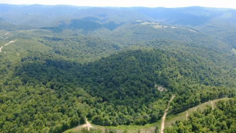 0 Saltlick Road Terra Alta WV 26764