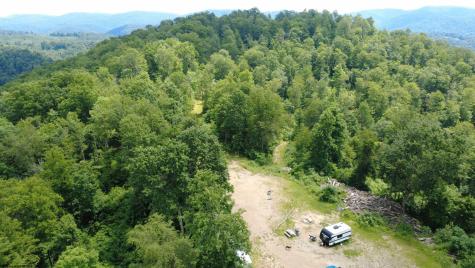 0 Saltlick Road Terra Alta WV 26764