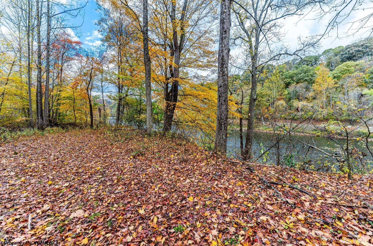 0 Bortz Mine Road Point Marion PA 15451