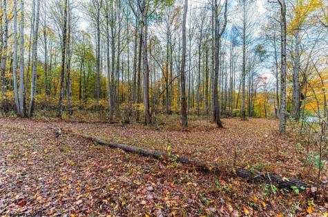 0 Bortz Mine Road Point Marion PA 15451