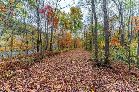 0 Bortz Mine Road Point Marion PA 15451