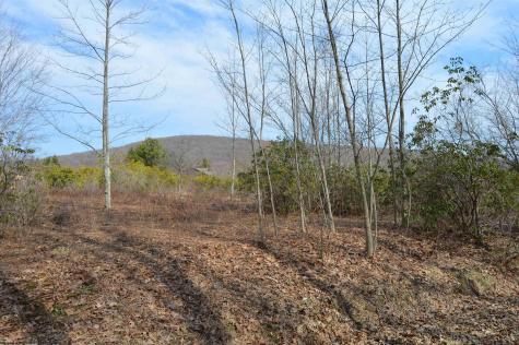 4 Grosbeak Drive Terra Alta WV 26764
