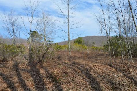 4 Grosbeak Drive Terra Alta WV 26764