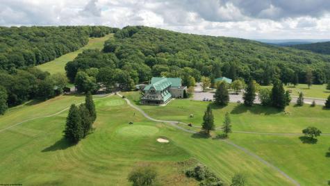 4 Grosbeak Drive Terra Alta WV 26764