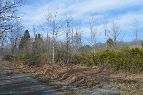 4 Grosbeak Drive Terra Alta WV 26764