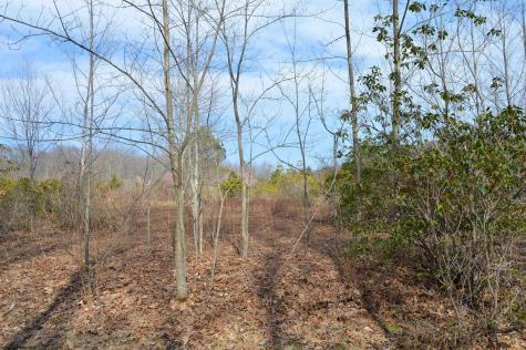4 Grosbeak Drive Terra Alta WV 26764