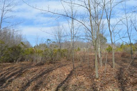 4 Grosbeak Drive Terra Alta WV 26764