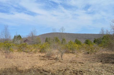 4 Grosbeak Drive Terra Alta WV 26764
