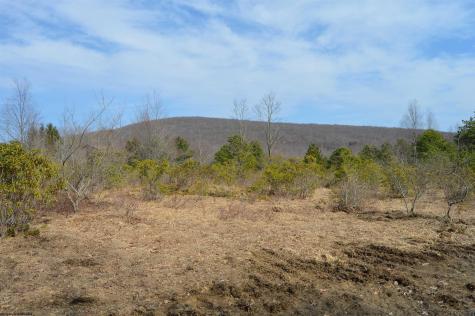 4 Grosbeak Drive Terra Alta WV 26764