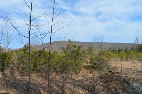 4 Grosbeak Drive Terra Alta WV 26764