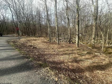 216 Aster Circle Terra Alta WV 26764