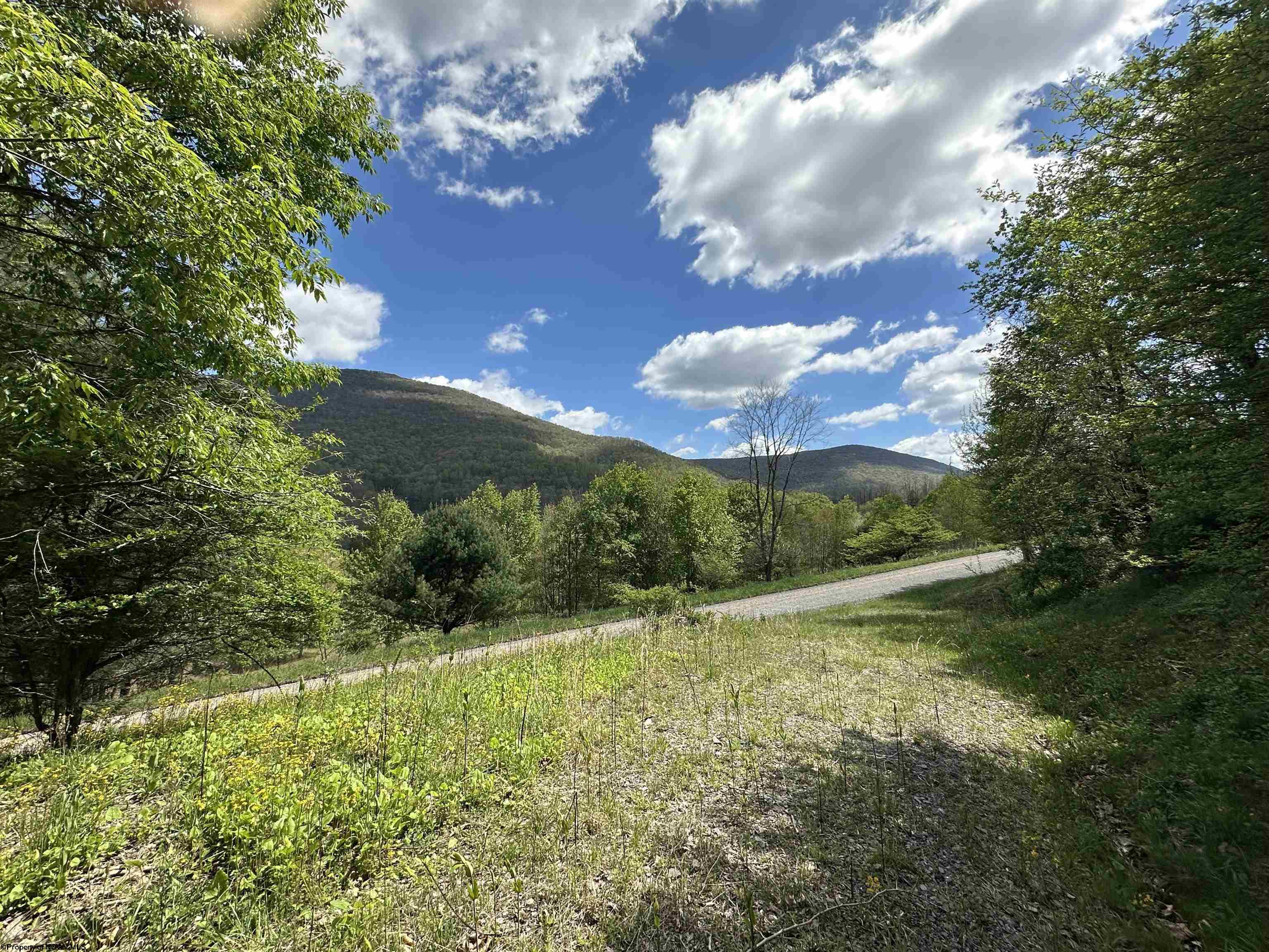 2 Flat Rock Run Dryfork WV 26263