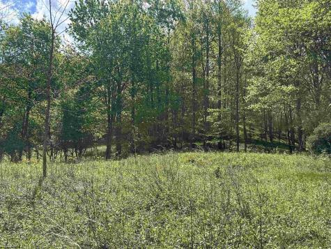 2 Flat Rock Run Dryfork WV 26263