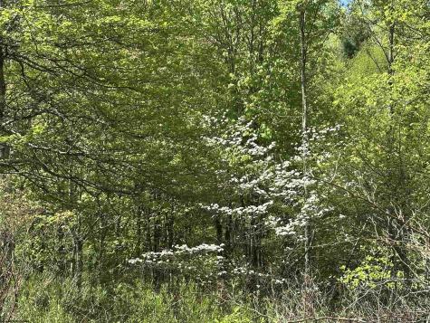 2 Flat Rock Run Dryfork WV 26263