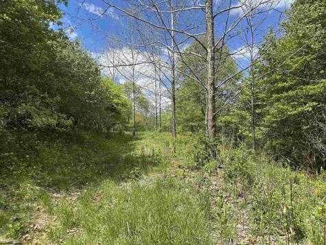 2 Flat Rock Run Dryfork WV 26263