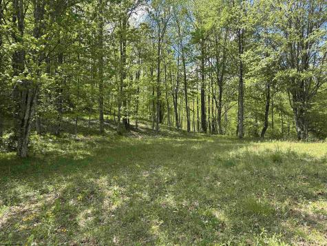 2 Flat Rock Run Dryfork WV 26263