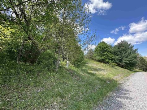 2 Flat Rock Run Dryfork WV 26263