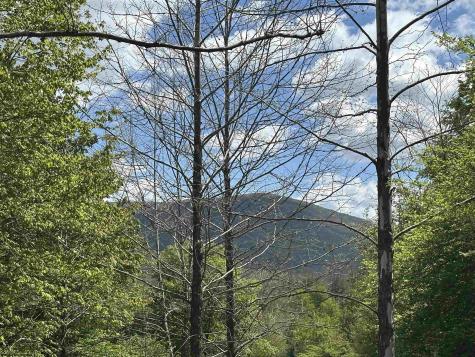 2 Flat Rock Run Dryfork WV 26263
