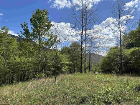 2 Flat Rock Run Dryfork WV 26263