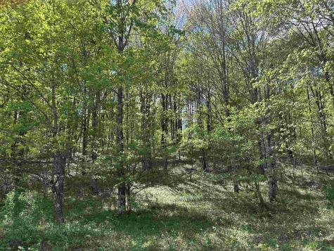 2 Flat Rock Run Dryfork WV 26263